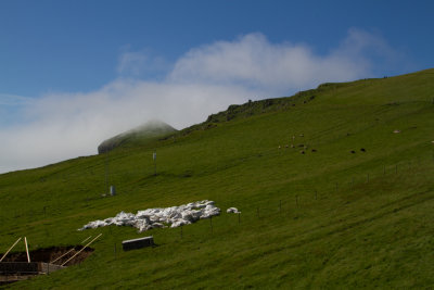 Faroe Islands_8840.jpg