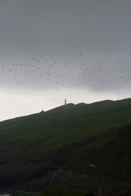 Faroe Islands_8927.jpg