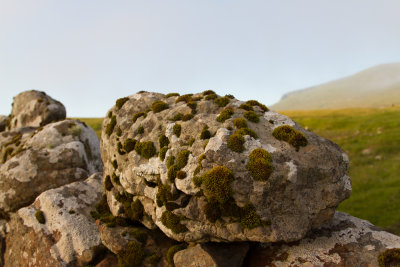 Faroe Islands_8945.jpg