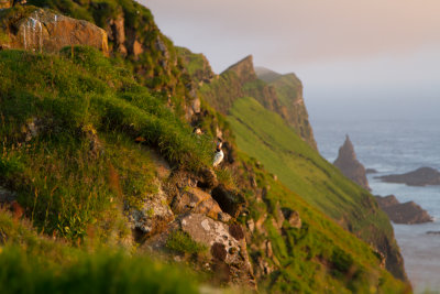 Faroe Islands_9067.jpg