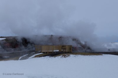 Iceland