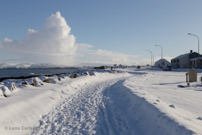 Reykjavik
