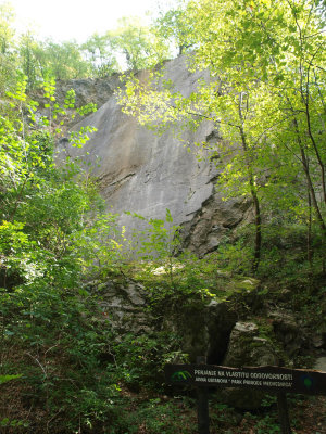 P9153408.JPG