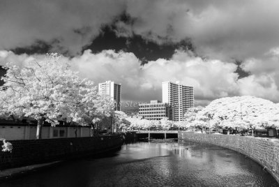 20151220-154243-IMGP0078.JPG