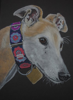 Rico - pastel on black paper, 11 x 14 2017