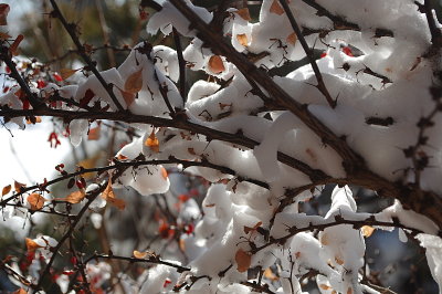Winter, Feb. 2018, Nebraska