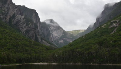 DSC_2979-001.JPG