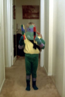 02 Dylan in more elaborate disguise.jpg