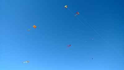 07 Kites at Brenton Point 02.jpg