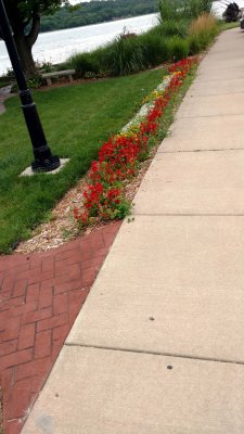 06 Flowers.jpg