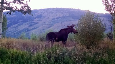 20 Jackson Hole, 31 July