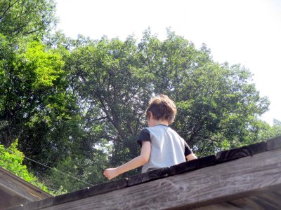 05 Sidney on the deck roof.jpg