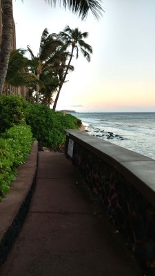 01 Looking south from Maui Kai.jpg