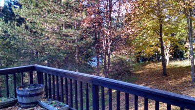 06 Autumn leaves off the deck.jpg