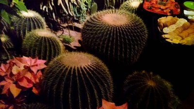 33 Lamberton Conservatory Christmas party, 7 December