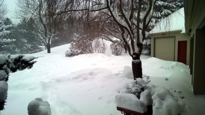 01 Winter