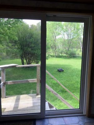 10 Back yard.jpg