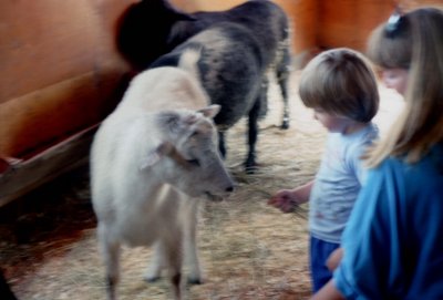 03 Dylan and Tory with sheep.jpg