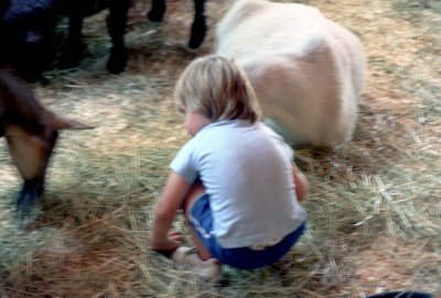 04 Dylan with sheep.jpg
