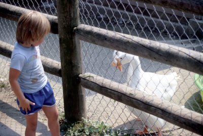 05 Dylan and geese.jpg