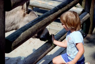 07 Dylan with donkey.jpg
