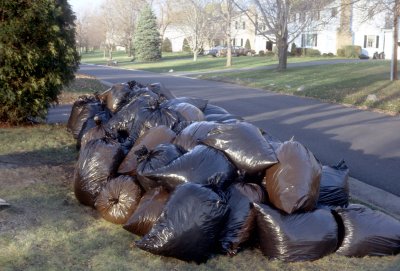 07 Bags of leaves 01.jpg