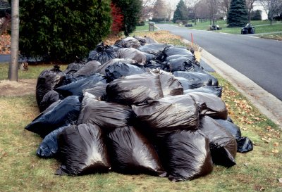 08 Bags of leaves 02.jpg