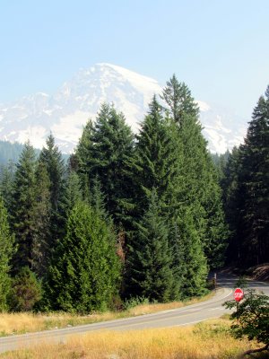 04 Mt. Rainier from National Park Inn 03.jpg