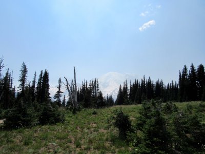 05 Mt. Rainier beyond hill 01.jpg