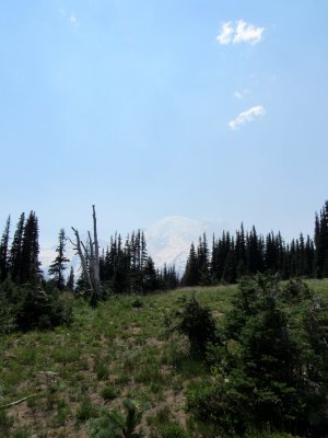 06 Mt. Rainier beyond hill 02.jpg