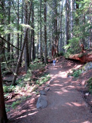 14 Tory in the forest 01.jpg