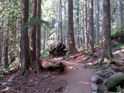 16 Trail of the Shadows 01.jpg