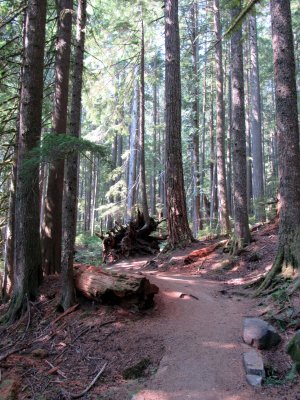 17 Trail of the Shadows 02.jpg