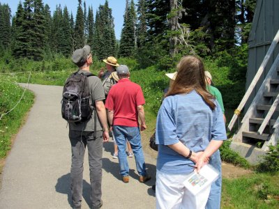 26 Meadow meander 01.jpg