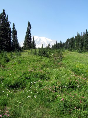38 Mountain and meadow 02.jpg