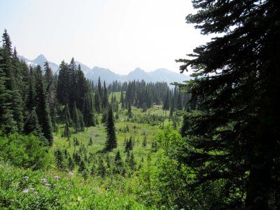 39 Tatoosh mountains.jpg