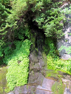 42 Seeping water 02.jpg