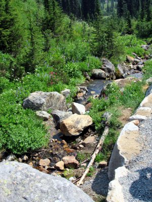 47 Mountain stream 01.jpg