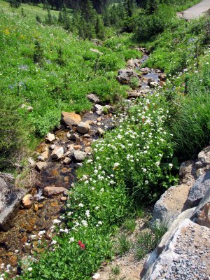 48 Mountain stream 02.jpg