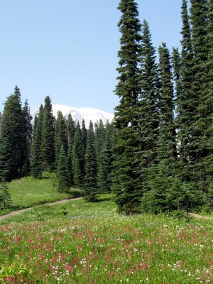 51 Mountain and meadow 03.jpg