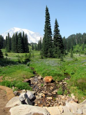 54 Mountain and meadow 05.jpg