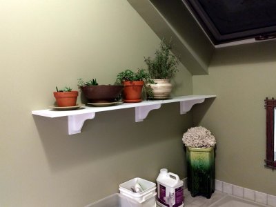 02 Tory's new plant shelf 02.jpg