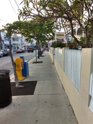20 Duval Street.jpg