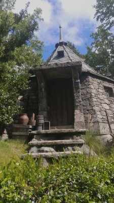 15 Hagrid's hut.jpg
