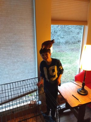 09 Sid with chicken on head 04.jpg