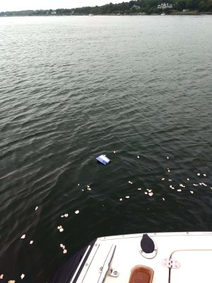 04 Pete strewn, Mackeral Cove 01.jpg