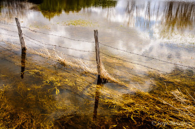 Inondation