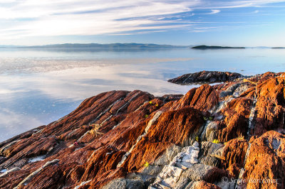 Littoral
