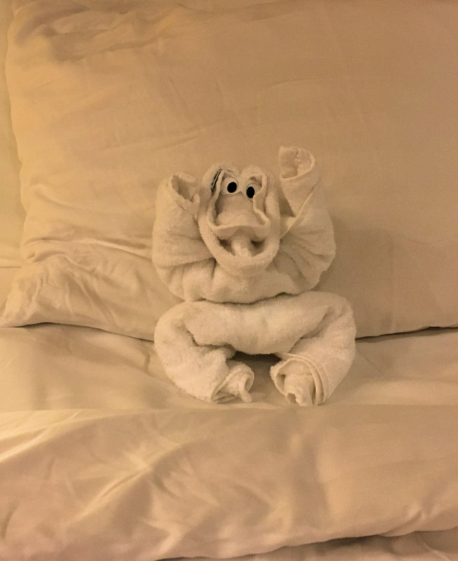 Aris Monkey IMG_2876.JPG