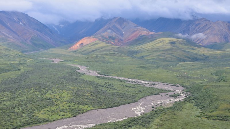 Denali Polychrome Overlook 9x16 COL_0034.JPG